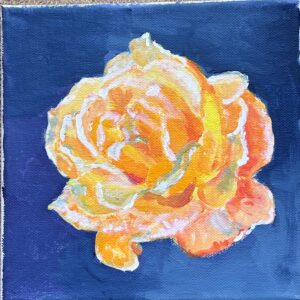 Orange Rose auf blauem Hintergrund