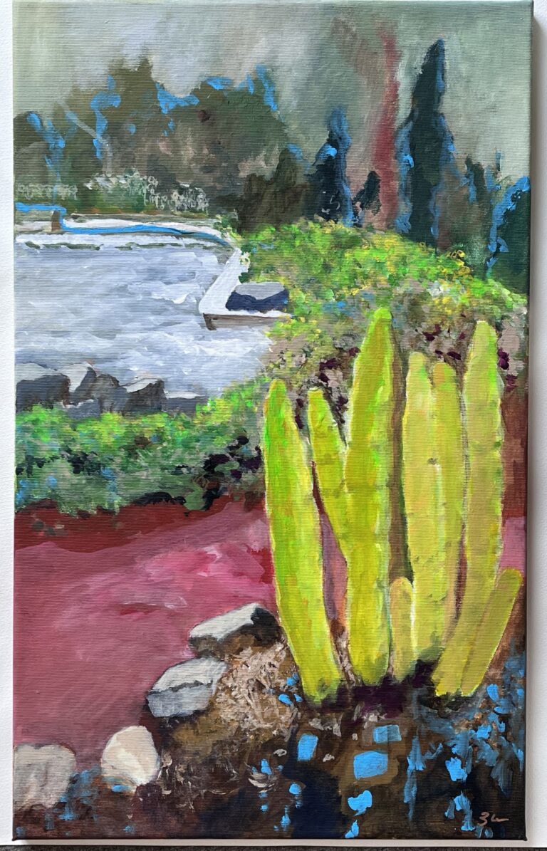 Botanischer Garten mit großen Kakteen, blaue Blütenpflanzen, Teich und einem Weg